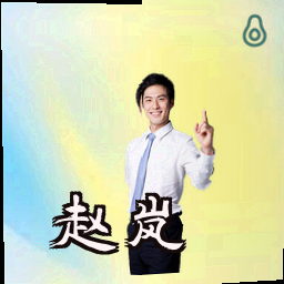 赵岚